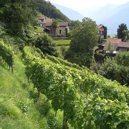 Tenuta Casa Cima - Tenutacasacima Com - 3* Gudo