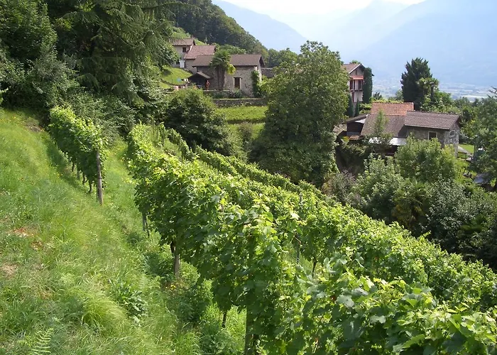 Tenuta Casa Cima - Tenutacasacima Com - 3* Gudo